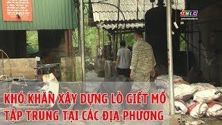 Khó khăn xây dựng lò giết mổ gia súc tập trung tại các địa phương | THLC