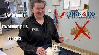 How to Apply Revolution Plus Topical for Cats: Step by Step | Cobb & Co. Veterinary Clinic