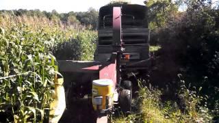 Chopping Corn at Twin Oaks