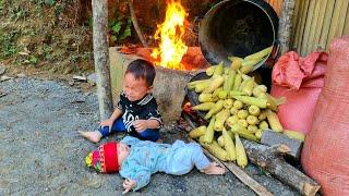 Harvest corn with children to sell at the market | Build a new life