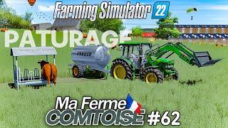 NOS VACHES À LA PATURE ! C'est stylé !  - Ma Ferme Comtoise #62