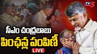 LIVE : CM Nara Chandrababu Naidu to Distribute NTR Bharosa Pension in AP | TDP LIVE | TV5 News