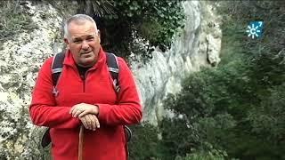 Recuperación del pinsapo en la Sierra de Lijar, en la provincia de Cádiz