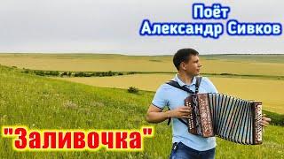 "Заливочка", (частушки под гармонь). Поёт Александр Сивков. Хорошая песня на бескрайних просторах.