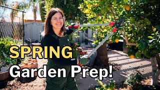MARCH GARDENING TIPS: What to Do Now for a Thriving Spring Garden