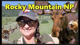 Rocky Mountain National Park Travel Guide 2024 | Tips for a Day Trip from a Local