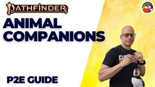 Animal Companions: Get Ready to Transform into a Two-Person Fighting Machine!