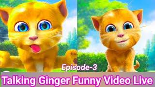 Talking Ginger Funny Videos Live  ( Episode 3 )