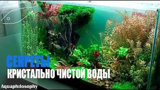 Кристально чистая вода в аквариуме. Секреты!