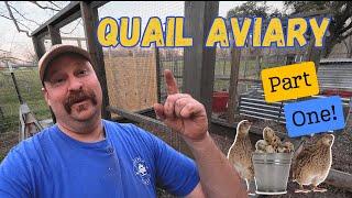 Building My Daughter a Quail Aviary | Part 1