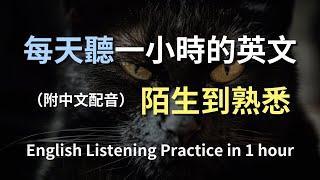 保母級聽力學習｜日常英語會話輕鬆掌握｜簡單實用英文｜一次搞懂日常英語｜零基礎也能秒懂｜零基礎入門必看｜English Listening（附中文配音）