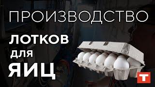 Как производят лотки для яиц и, причём здесь термомасляный котёл?