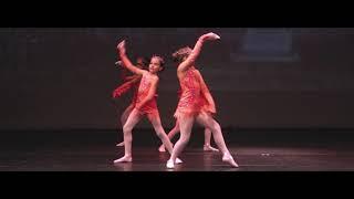 Ballet Adriana Rezende em: Alice no país das maravilhas - Flamingos