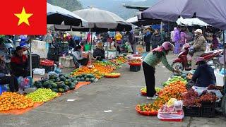 Journey to Vietnam: Mường Khương Market and the Unmissable Fascinating Experiences