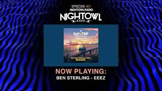 DAYTRIP FESTIVAL 2024 MEGAMIX - Night Owl Radio 461