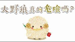 双美童夢館《大野狼真的危險嗎？》影片導讀