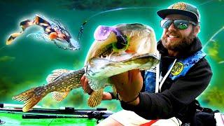 Best Lure for PIKE FISHING in Early Fall?!  (Insane Attacks!!!)