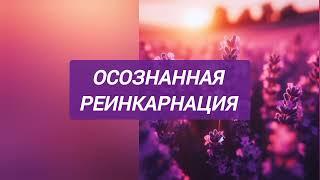 Осознанная реинкарнация, продолжение. Изучаем книгу Святослава Дубянского, Творчество вечной жизни.