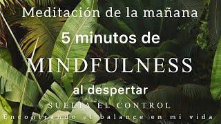 Meditación de la mañana SUELTA el CONTROL ️ - 5 minutos MINDFULNESS
