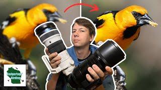 Will $10,000 Worth of Camera Equipment Turn Me Into a PRO Bird Photographer?