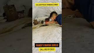Book Kalsarp Pooja Trimbakeshwar | Call :9921572833