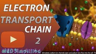 Electron Transport Chain ETC Part 2