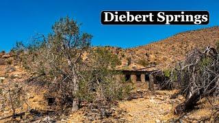 A Hermits Hidden Oasis in the Nevada Desert