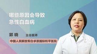 哪些原因会导致急性白血病 郭晓 中国人民解放军白求恩国际和平医院