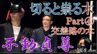 切ると祟る木 Part④【交差路の木】【不動貞尊】