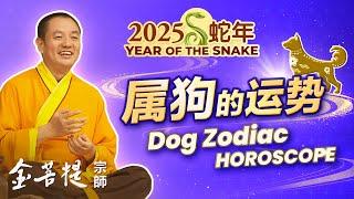 2025 Year of the Snake: Horoscope for the Dog Zodiac