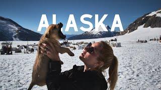 Alaskan Dream | Cruising, Dog Sledding, Whale Watching, Glacier Bay National Park