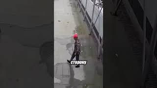 Он думал, что собака просит еду... А она просила помощи! ️