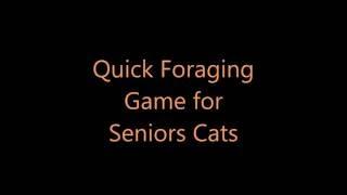 Gentle Foraging Activity for Arthritic Cats