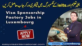 100% For You ! Luxembourg Free Visa Without Education & ielts full Visa Sponsorship I Easy Visa