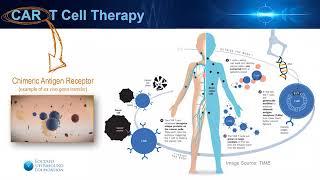 Webinar: Natasha Sheybani, PhD - Focused Ultrasound for Gene Therapy