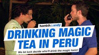 Drinking Magic Tea In Peru