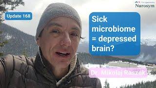 Can gut bacteria alone cause depression? The vagus nerve gut-brain connection Part 2 (update #168)