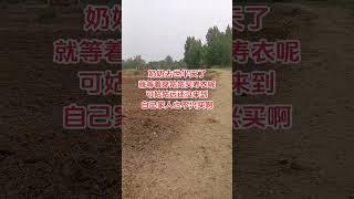 #農村習俗 #村裡那些事 #農村生活