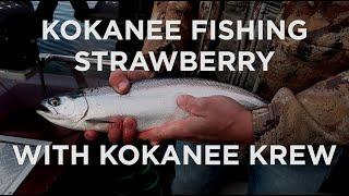 Kokanee Krew Outfitters Loads Up The Boat with Salmon at Strawberry Reservoir