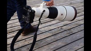 Sony | Lens | FE 600mm F4 GM OSS | Product Feature