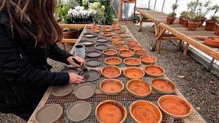 Sealing Terra Cotta Saucers & Thinning Radishes!  // Garden Answer