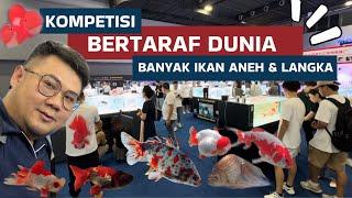 BANYAK IKAN LANGKA TAK PERNAH TERLIHAT !!! SEMUA ADA DI KOMPETISI KELAS DUNIA -  LUAR BIASA BANGET