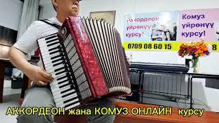 Аккардеон үйрөнүү онлайн  курсу- Кытайлык кыргыздардан сонун ыр!