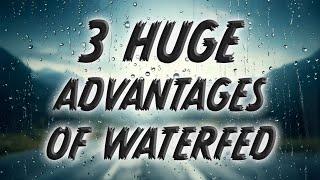 3 Huge Advantages of Waterfed Window Cleaning