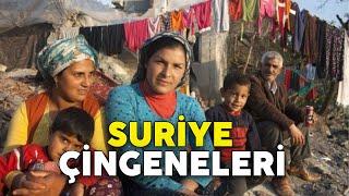 Suriye Çingeneleri nasıl yaşıyor? | Mevsimlik İşçiler ~391