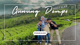 Trip & Explore Gunung Dempo kebun teh Pagar Alam ||  #wisatapagaralam