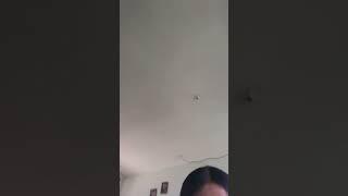 yowanachya IG live #selebgram #seleb #indonesia #instagram #tiktok #live #streaming #shorts #reels