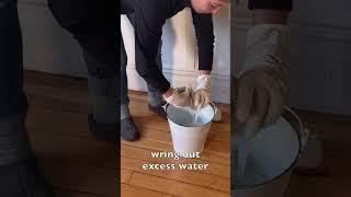 The Simplest & Greenest Floor Cleaning Method