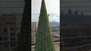 #3032 TRAVEL TIME - A Look Over of Plaza España from the Lift (Part 1), Barcelona, Spain, Europa