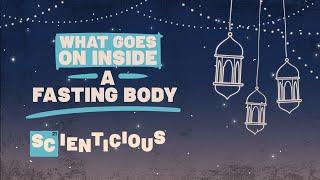 The science behind fasting, explained | Scienticious